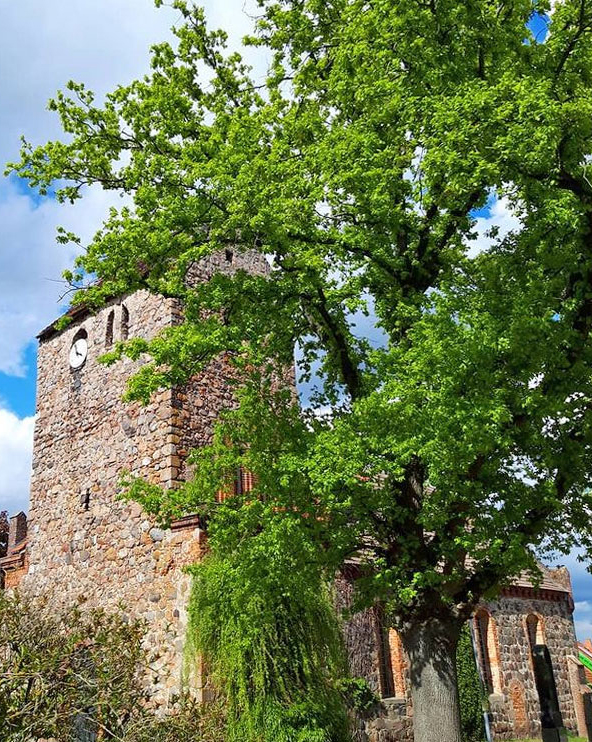 Einzelnachhilfe in GumtowDorfkirch in Gumtow