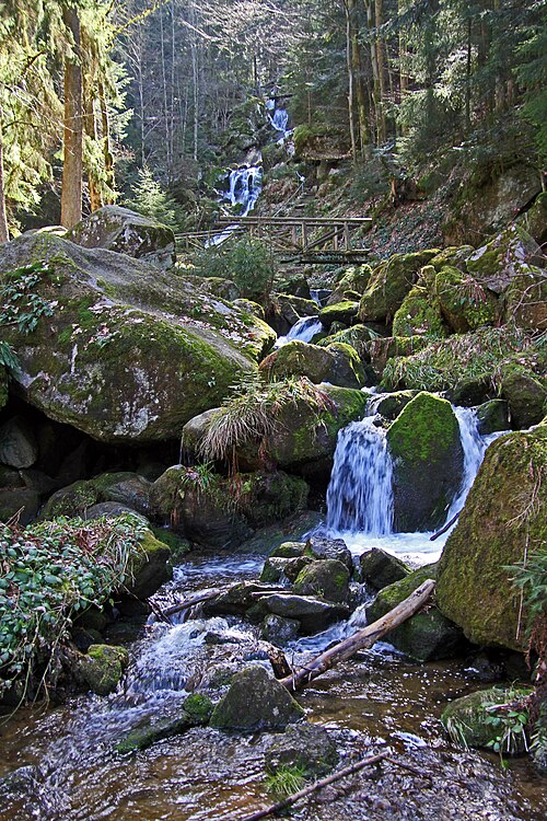 nachhilfe lehrer privat in Bühlertal Schülerhilfe in Bühlertal