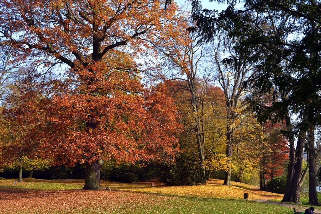 Einzelnachhilfe zu Hause in Reinbek; kostenlose Nachhilfe in Reinbek
